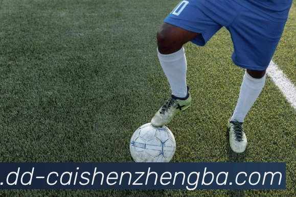 彩神争霸服务体系